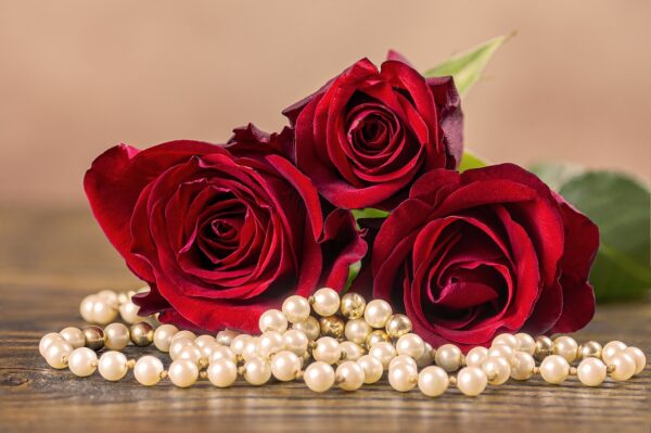 pearl necklace, roses, jewellery-4838710.jpg